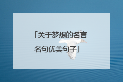 关于梦想的名言名句优美句子