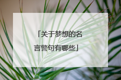 关于梦想的名言警句有哪些