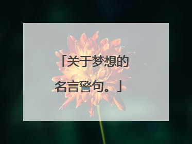 关于梦想的名言警句。