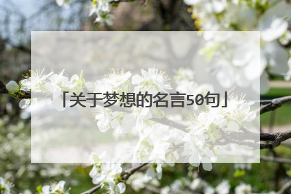关于梦想的名言50句