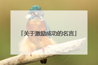 关于激励成功的名言
