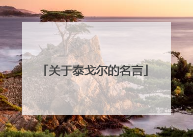 关于泰戈尔的名言