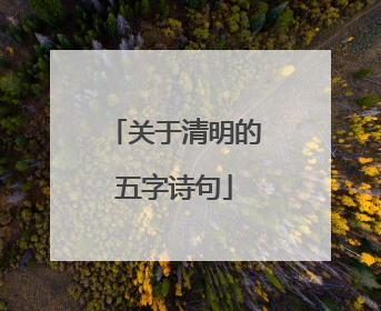 关于清明的五字诗句