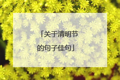 关于清明节的句子佳句