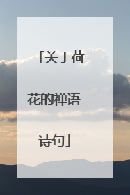 关于荷花的禅语诗句