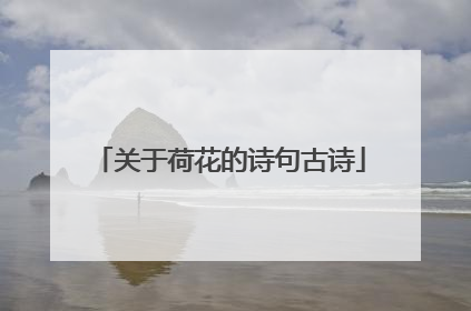 关于荷花的诗句古诗