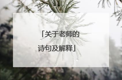 关于老师的诗句及解释
