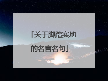 关于脚踏实地的名言名句
