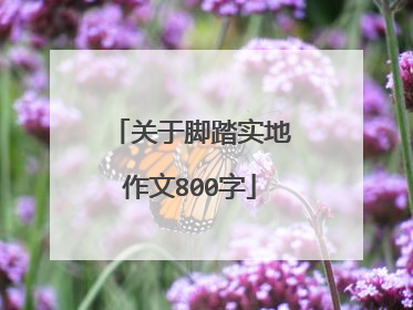 关于脚踏实地作文800字