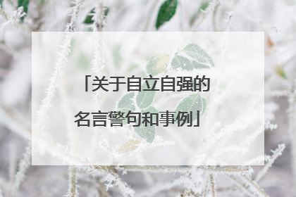 关于自立自强的名言警句和事例