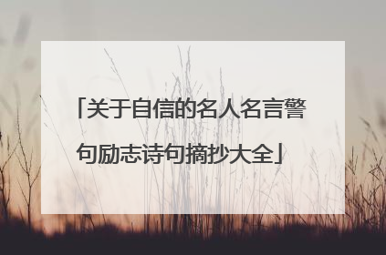 关于自信的名人名言警句励志诗句摘抄大全