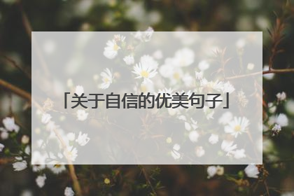 关于自信的优美句子