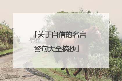 关于自信的名言警句大全摘抄