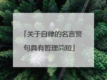 关于自律的名言警句具有哲理简短