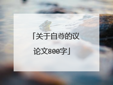 关于自尊的议论文800字