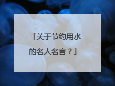 关于节约用水的名人名言?