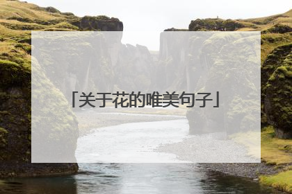 关于花的唯美句子