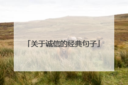 关于诚信的经典句子