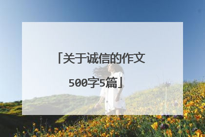 关于诚信的作文500字5篇