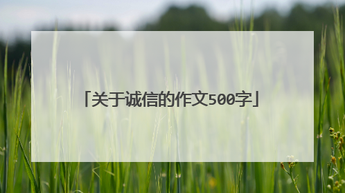 关于诚信的作文500字