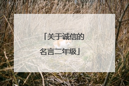 关于诚信的名言二年级