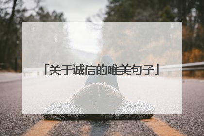 关于诚信的唯美句子