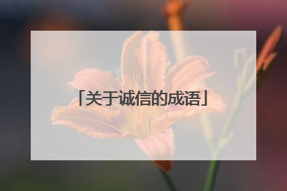 关于诚信的成语