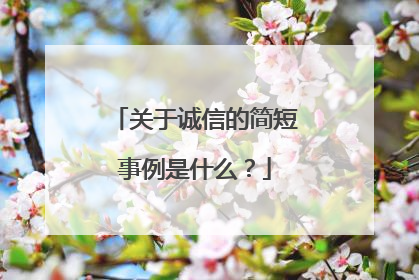 关于诚信的简短事例是什么?