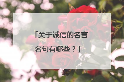 关于诚信的名言名句有哪些?