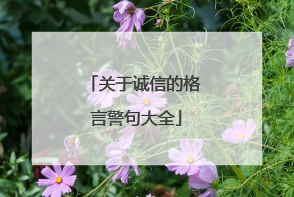 关于诚信的格言警句大全