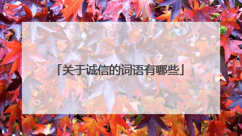 关于诚信的词语有哪些