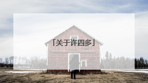 关于许四多