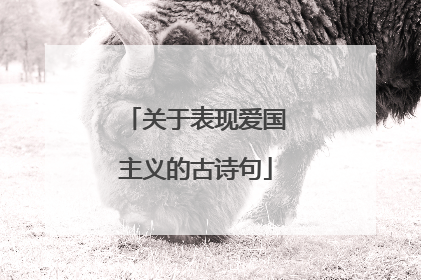 关于表现爱国主义的古诗句