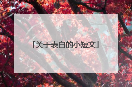 关于表白的小短文