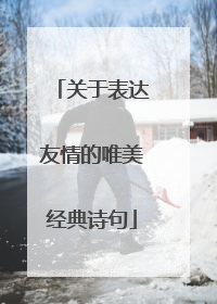 关于表达友情的唯美经典诗句