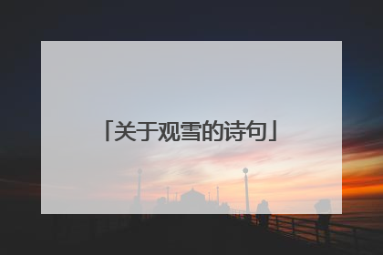 关于观雪的诗句