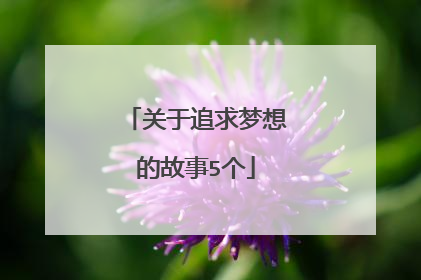 关于追求梦想的故事5个
