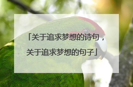 关于追求梦想的诗句,关于追求梦想的句子
