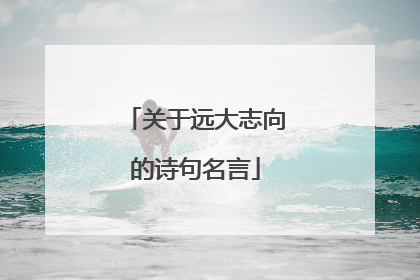 关于远大志向的诗句名言