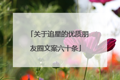 关于追星的优质朋友圈文案六十条
