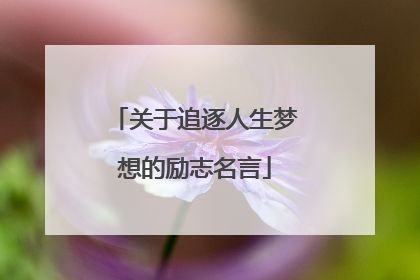 关于追逐人生梦想的励志名言