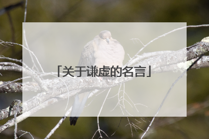 关于谦虚的名言