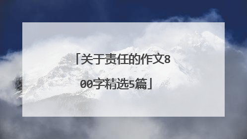 关于责任的作文800字精选5篇