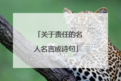 关于责任的名人名言或诗句