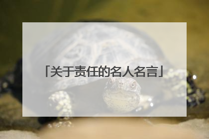关于责任的名人名言