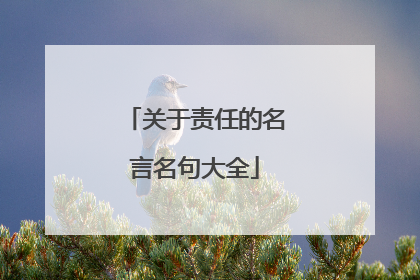关于责任的名言名句大全