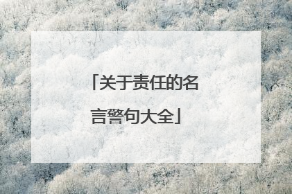 关于责任的名言警句大全