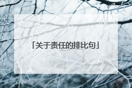 关于责任的排比句