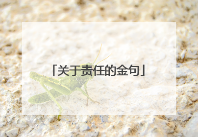 关于责任的金句