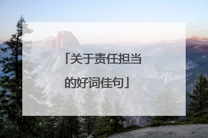 关于责任担当的好词佳句